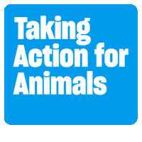 Humaneworld Sticker by Humane World for Animals