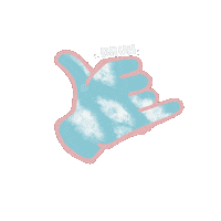 San Diego Beach Sticker