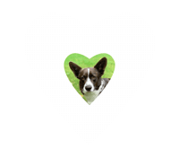 In Love Bear Sticker by Samen Trouwen