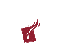 cerveza victoria dia de muertos Sticker