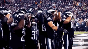 2018 nfl football GIF by NFL