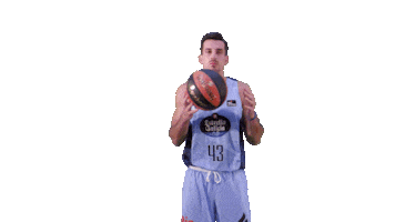 Liga Endesa Sport Sticker by ACB