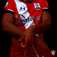 Premier League Football GIF by Southampton FC