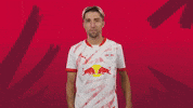 Kevin Kampl Kiss GIF by RB Leipzig