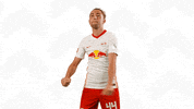 Oh Yeah Dancing GIF by RB Leipzig