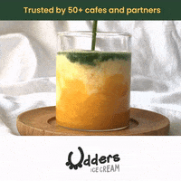 GIF by Craft Tea Fox