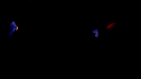 space fire GIF by Discovery Europe