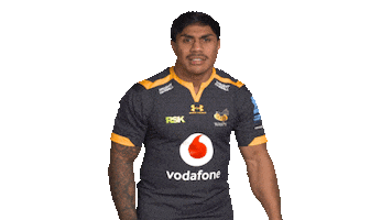 Rugby Sticker by Wasps