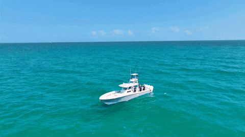 GemluxFishing giphyupload miami boat fishing GIF