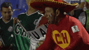 celebrate come on GIF by MiSelecciónMX