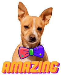 Dogs Puppy Sticker by Werner Bohr - Agentur für Gestaltung