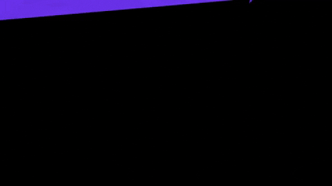 dog party GIF by Sam Jack Gilmore
