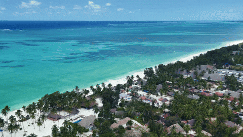 Summer Beach GIF by DEEPSYSTEM