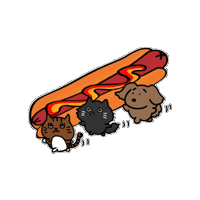 Cat Dog Sticker