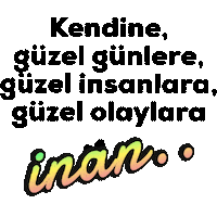 Mnks Pozitif Sticker