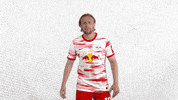 Football Soccer GIF by RB Leipzig