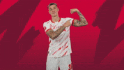 Sport Flex GIF by RB Leipzig