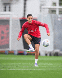 Bayer 04 Football GIF by Bayer 04 Leverkusen
