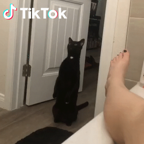 Inpiedi GIFs - Find &amp; Share on GIPHY