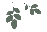 GlowkitchenFood food nature vegan tree Sticker