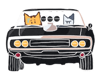 Driving Fast And Furious Sticker