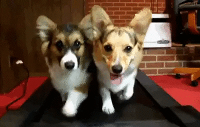 bro cardio GIF