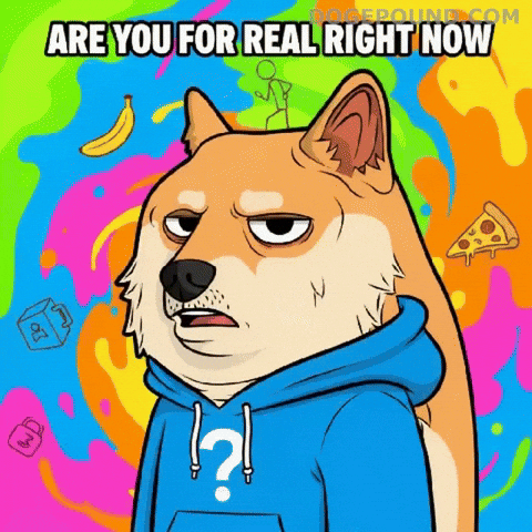 For Real Wtf GIF by Doge Pound