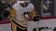 happy ice hockey GIF by NHL
