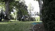 Oak Tree GIF by JC Property Professionals