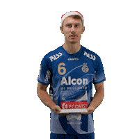 Handball Tvg Sticker by DAIKIN HBL