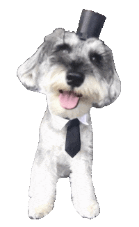 Dogs Love Sticker