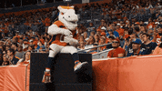 National Football League GIF by Broncos