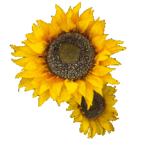 Rainbow Glitch Sticker by Mr. Cody England