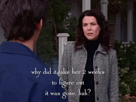 season 2 netflix GIF by Gilmore Girls 