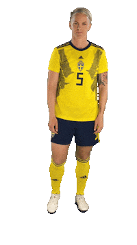 2019 Fifa Wwc Football Sticker by FIFA