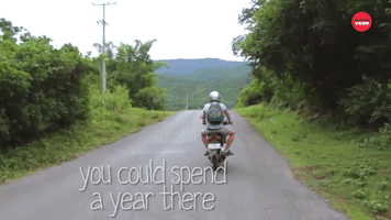 You Could Spend A Year In Asia