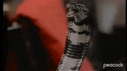 Snl GIF by MacGruber
