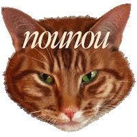 nounoulondon cat wink winking winking cat Sticker
