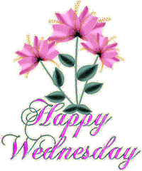 wednesday Sticker