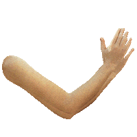 Animated Sticker