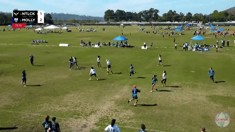flikulti ultimate frisbee flik GIF