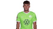Champions League Football Sticker by VfL Wolfsburg