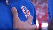 croatia GIF by nss sports