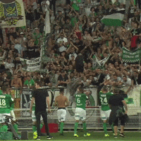 ASSEofficiel fans ultra supporter supporters GIF