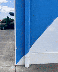 New Zealand Comedy GIF
