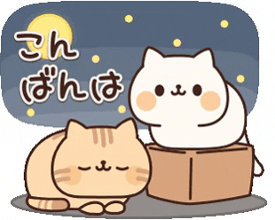 In Love Cat GIF