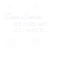 Merry Christmas Spinning Sticker