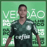 Futebol Feminino GIF by SE Palmeiras