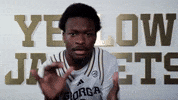 Georgia Tech Adidas GIF by Georgia Tech Yellow Jackets