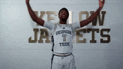 Georgia Tech Adidas GIF by Georgia Tech Yellow Jackets